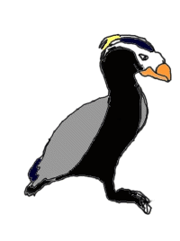 oiseau-dessin.GIF (26586 octets)