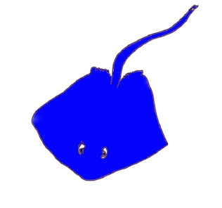 raie.gif (30882 octets)
